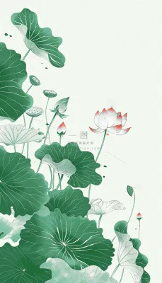 夏天荷花荷叶清凉小清新淡雅小暑大暑处暑插画背景