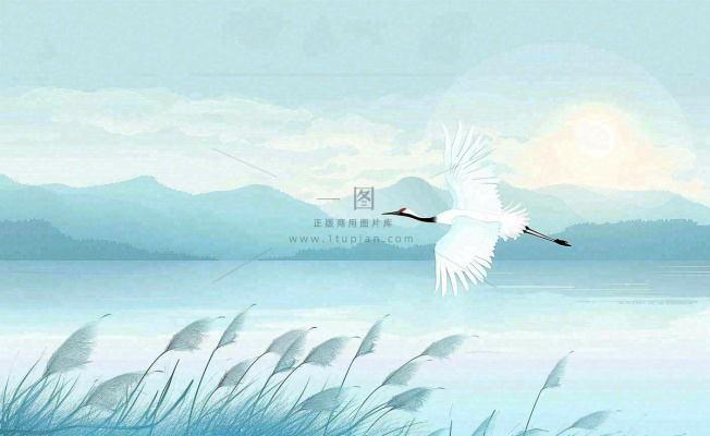 白鹭齐飞天水一色山水画芦苇荡清冷白露寒露插画背景