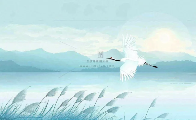 白鹭齐飞天水一色山水画芦苇荡清冷白露寒露插画背景