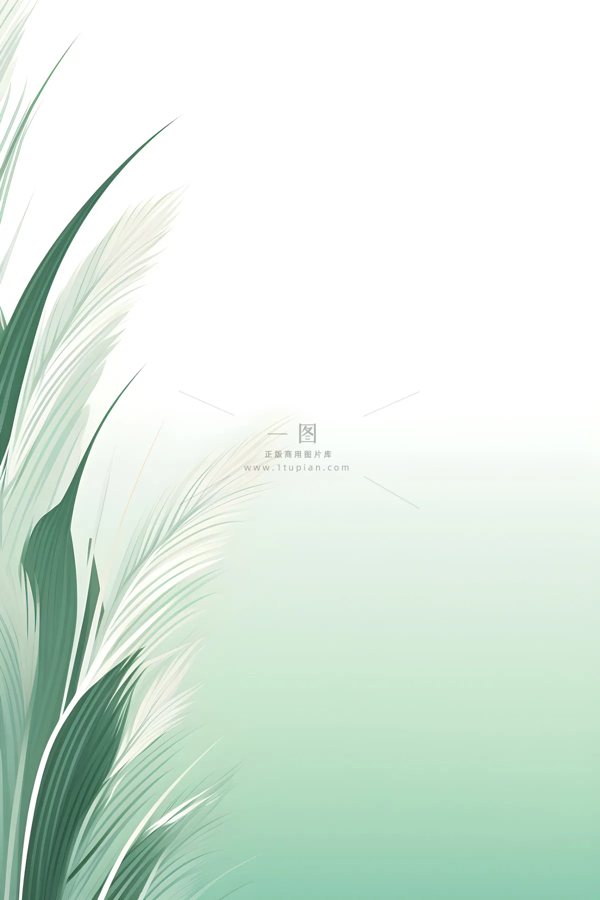 清新大气绿色芦苇羽毛背景