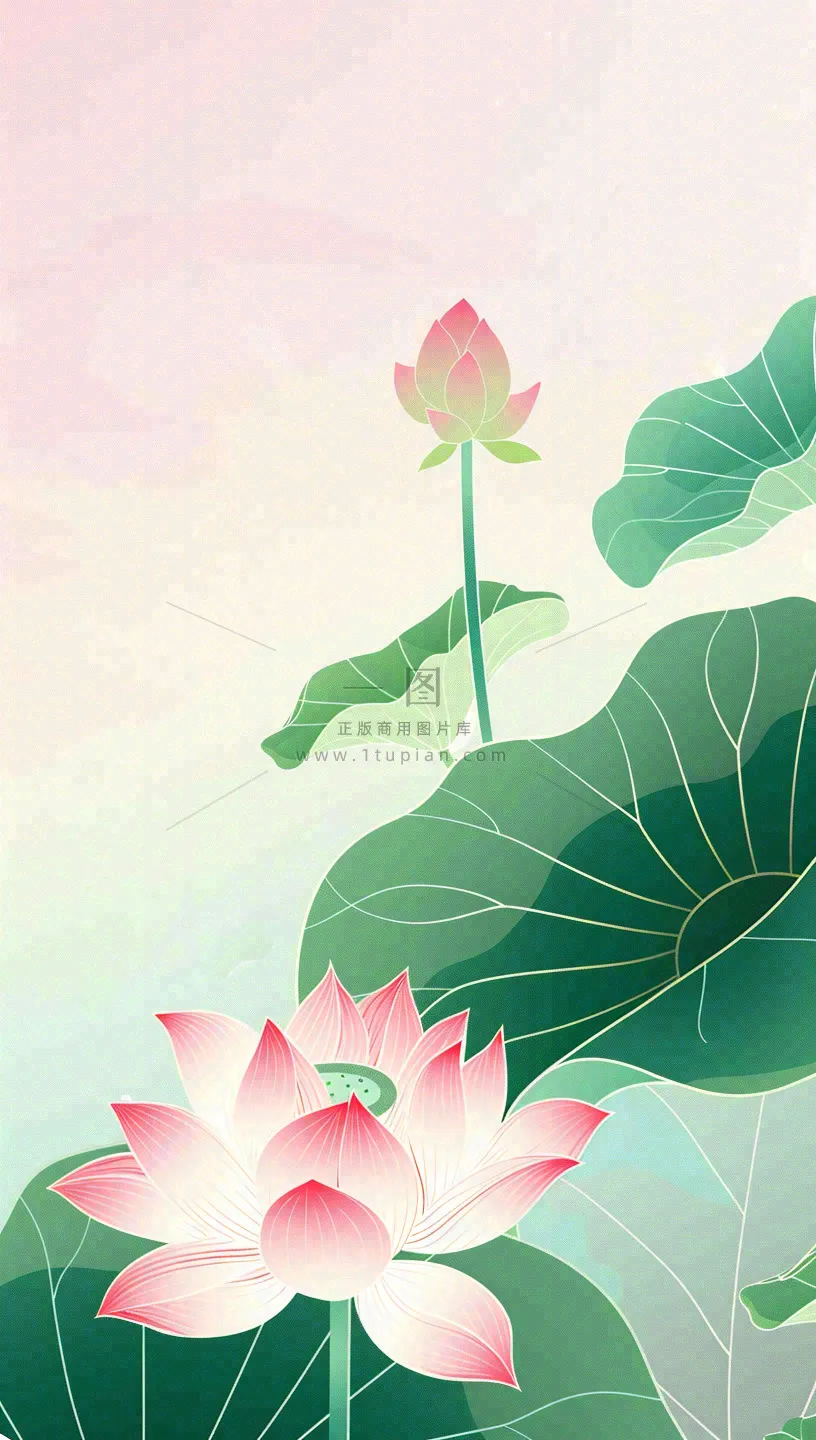 夏天荷花荷叶清凉小清新淡雅立夏夏至暑插画背景