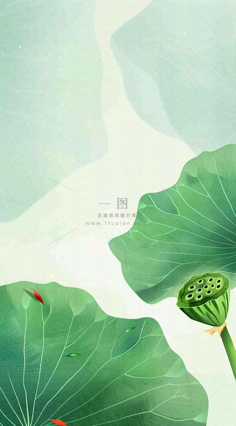 夏天荷花荷叶清凉小清新淡雅立夏夏至暑插画背景
