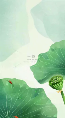 夏天荷花荷叶清凉小清新淡雅立夏夏至暑插画背景 夏天荷花荷叶清凉小清新淡雅立夏夏至暑插画背景