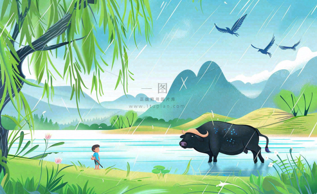 春天下雨天牧童放牛河流柳树雨水谷雨清明卡通插画背景