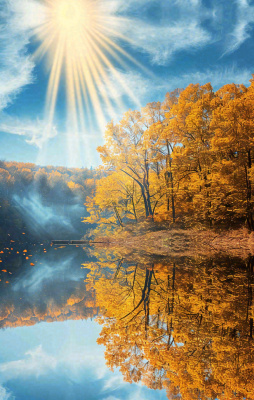 秋天蓝天阳光秋叶树木湖面水中倒影，秋分寒露摄影图