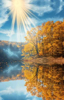 秋天蓝天阳光秋叶树木湖面水中倒影，秋分寒露摄影图