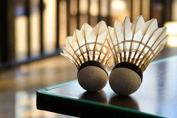 羽毛球竞技运动摄影图