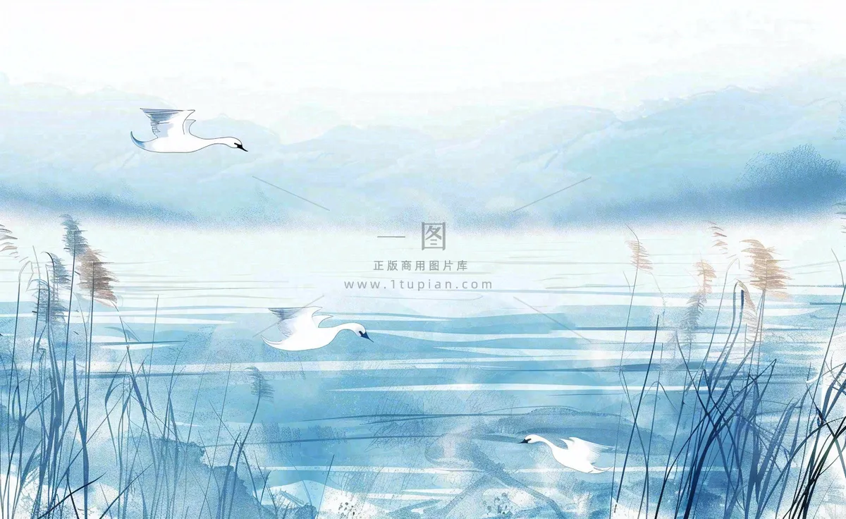 唯美白露插画白鹭动物风景秋天景色寒冷清冷芦苇丛寒露背景