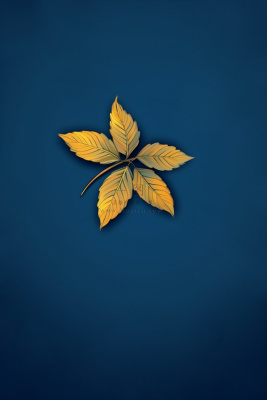 简约大气蓝色一叶秋叶背景 简约大气蓝色一叶秋叶背景