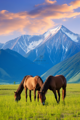 新疆美景骏马草原吃草放牧草原高原山脉摄影图
