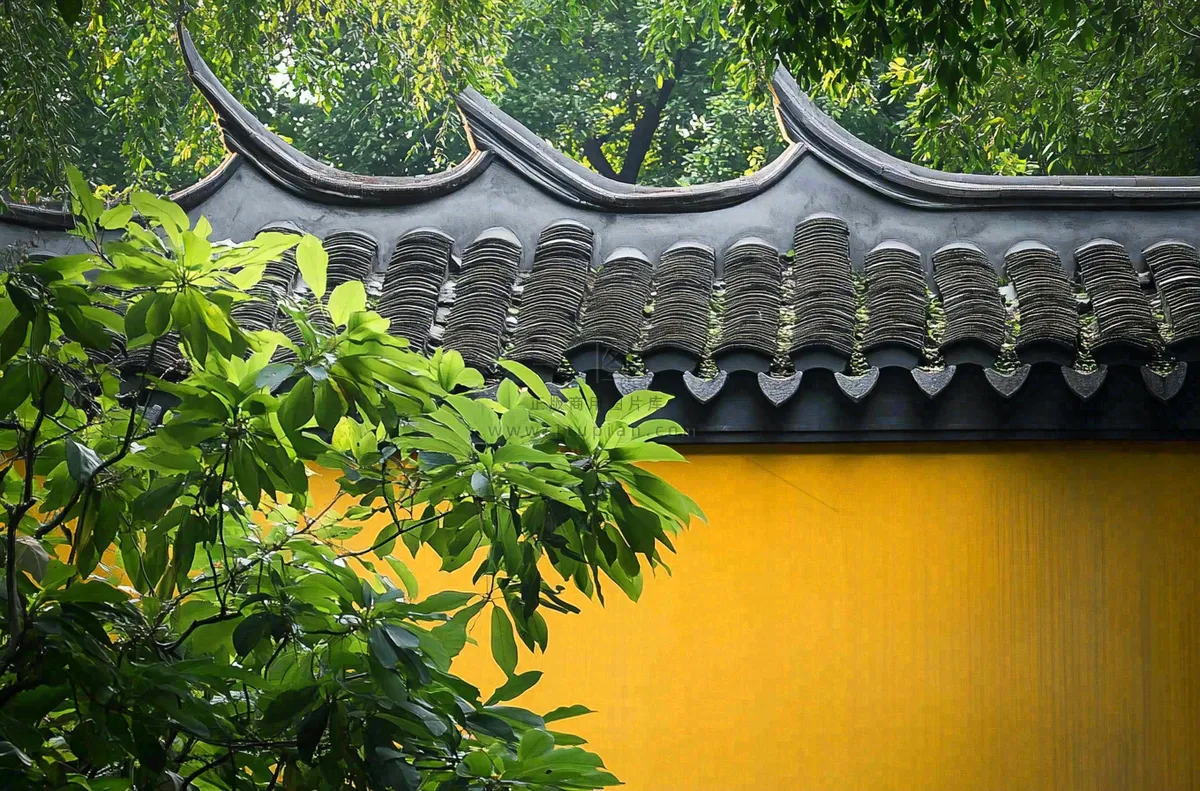 中式庭院屋檐绿植环境摄影图