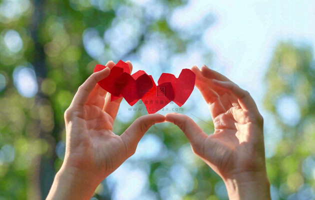 手拿红色爱心比心场景阳光唯美小清新情人节七夕摄影图