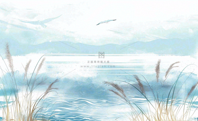 唯美白露插画白鹭动物风景秋天景色寒冷清冷芦苇丛寒露背景