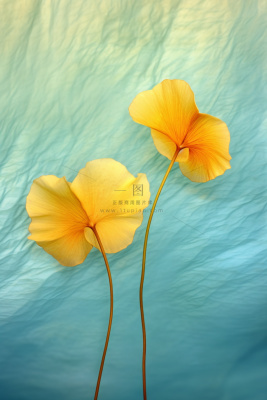 简约大气渐变落叶黄色秋叶背景 简约大气渐变落叶黄色秋叶背景