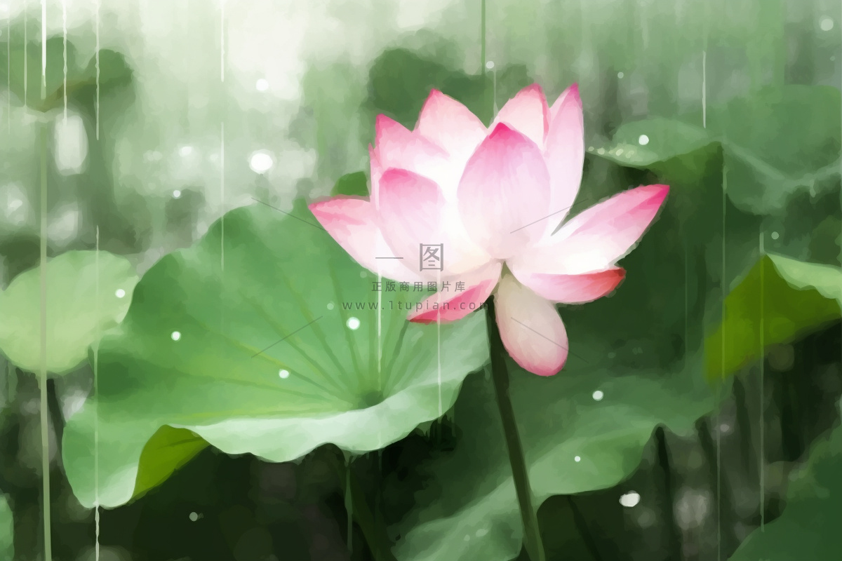 国风荷花水墨节气背景