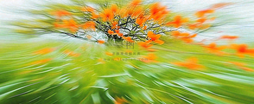 橙色鲜花意境流水渐变朦胧背景