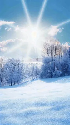 冬天东北森林白雪覆盖阳光小寒大寒大雪摄影图