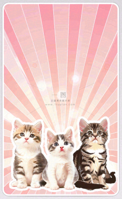 猫狗宠物店宣传卡通插画背景 猫狗宠物店宣传卡通插画背景