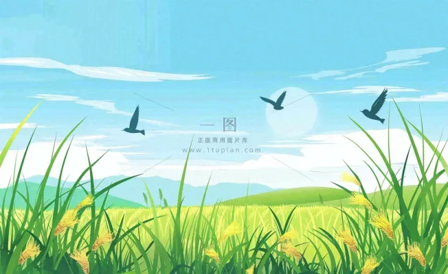 春天草场莺飞小麦地绿色麦苗小满芒种立夏卡通插画背景