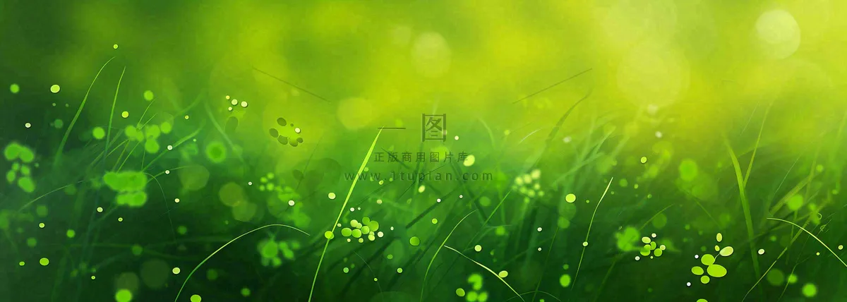 春天夏天绿色草地清新，春分立夏插画背景