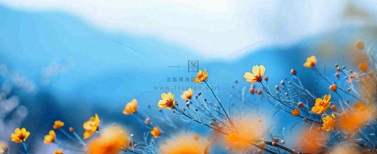 简约橙色小花鲜花,蓝色天空山脉虚幻意境摄影图