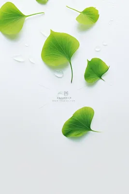 简约清新绿叶水滴节气海报背景 简约清新绿叶水滴节气海报背景