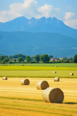 秋天农场稻田草垛远山摄影图