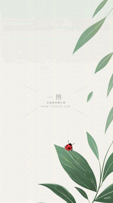 春天国风插画绿叶上的昆虫惊蛰插画背景 春天国风插画绿叶上的昆虫惊蛰插画背景