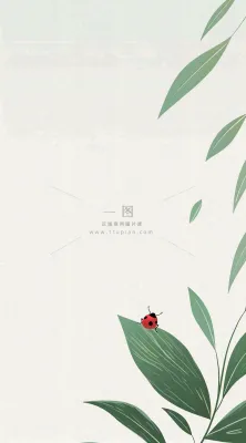 春天国风插画绿叶上的昆虫惊蛰插画背景 春天国风插画绿叶上的昆虫惊蛰插画背景