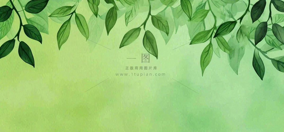 绿色简约绿植绿叶手绘插画笔墨意境