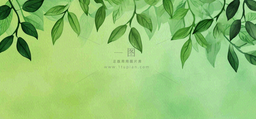 绿色简约绿植绿叶手绘插画笔墨意境 绿色简约绿植绿叶手绘插画笔墨意境