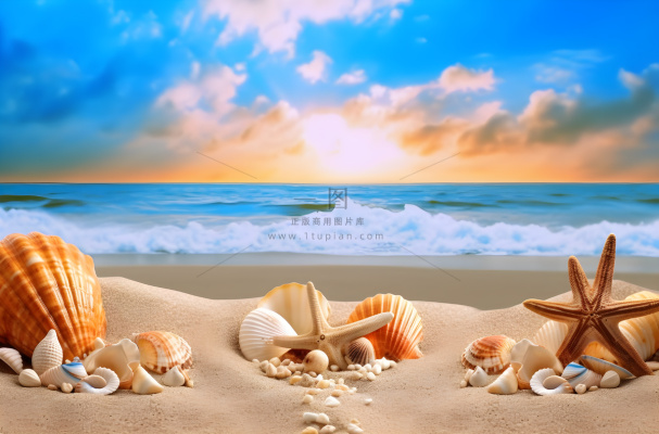 沙滩上的海星和贝壳充满活力的舞台背景