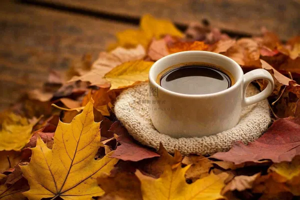 秋天下午茶咖啡落叶毛衣摄影图 秋天下午茶咖啡落叶毛衣摄影图