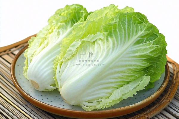 白菜蔬菜摄影图