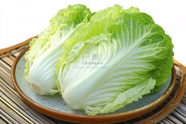 白菜蔬菜摄影图