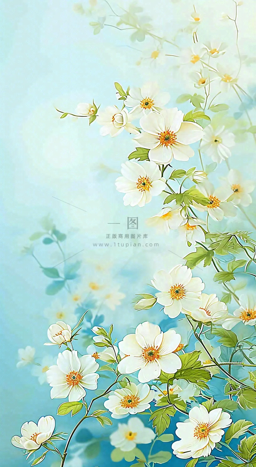 春天清新白色花朵温馨，蓝色朦胧，立春惊蛰春分摄影图