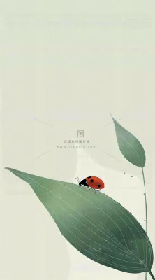 春天国风插画绿叶上的昆虫惊蛰插画背景 春天国风插画绿叶上的昆虫惊蛰插画背景