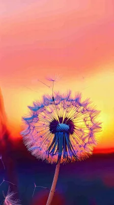 春天落日户外分散种子蒲公英夕阳晚霞摄影图 春天落日户外分散种子蒲公英夕阳晚霞摄影图