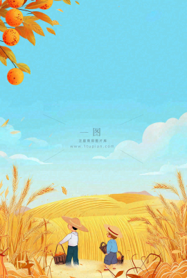 秋天农田里收谷的农民辛勤劳作芒种世界粮食日插画背景