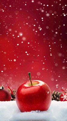 雪地里的红苹果雪花平安夜红色背景