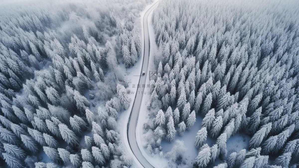 冬季森林大雪覆盖延绵的公路摄影图