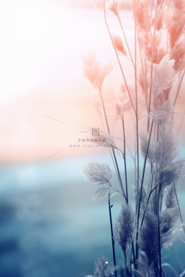 冰冷天气枝叶水珠背景 冰冷天气枝叶水珠背景