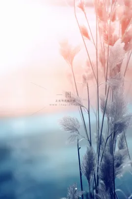 冰冷天气枝叶水珠背景 冰冷天气枝叶水珠背景