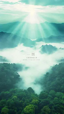 中国风高山绿植森林丛林,阳光蓝天白云,户外 中国风高山绿植森林丛林,阳光蓝天白云,户外