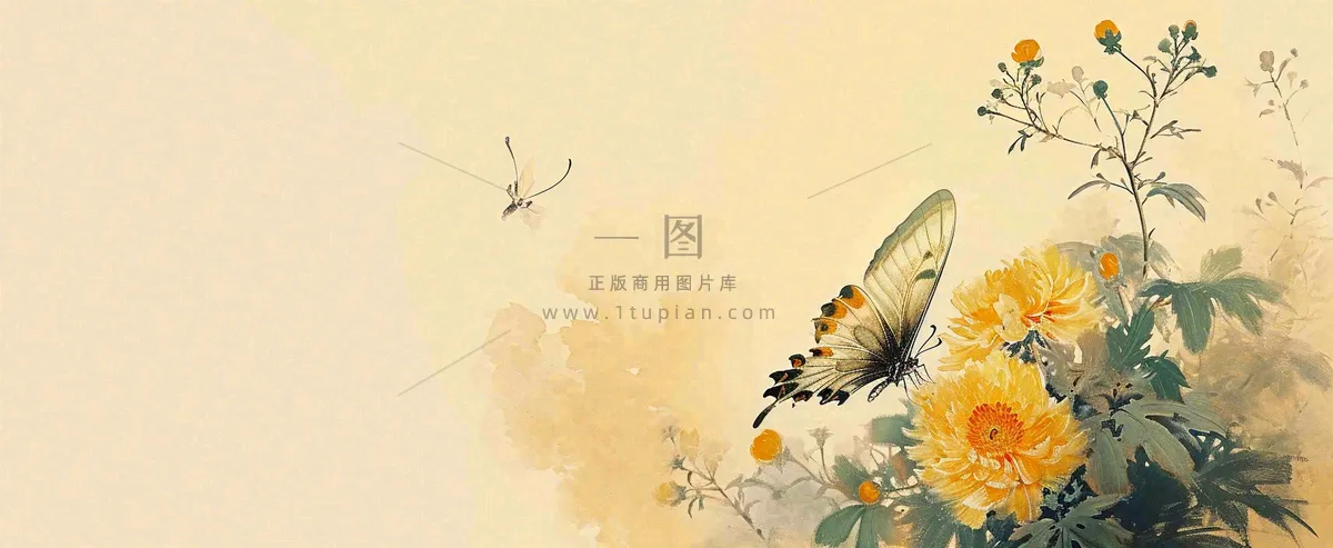 温馨纹理橙色花朵鲜花蝴蝶意境唯美，中国风