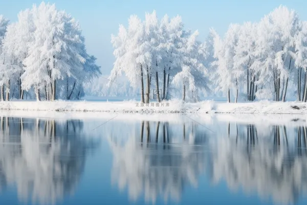冬天雪景森林雾凇白雪摄影图