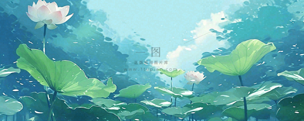 夏天湖面落叶荷花荷叶水面仰视,夏至小暑大暑 夏天湖面落叶荷花荷叶水面仰视,夏至小暑大暑