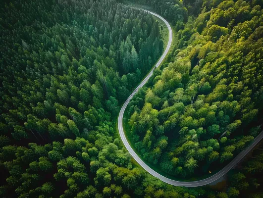 森林环山公路绿意摄影图