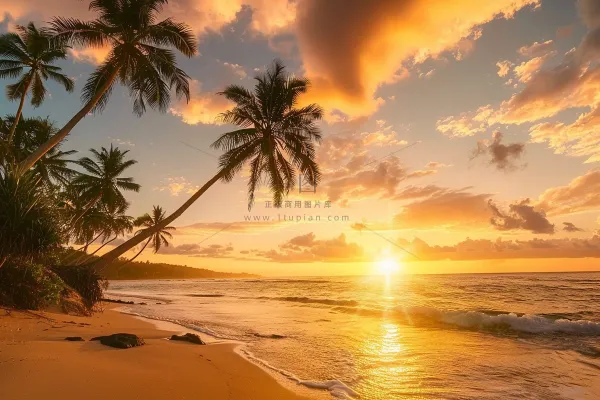 清晨日出朝霞云层摄影图