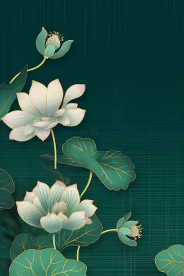 绿色简约清新莲花节气背景